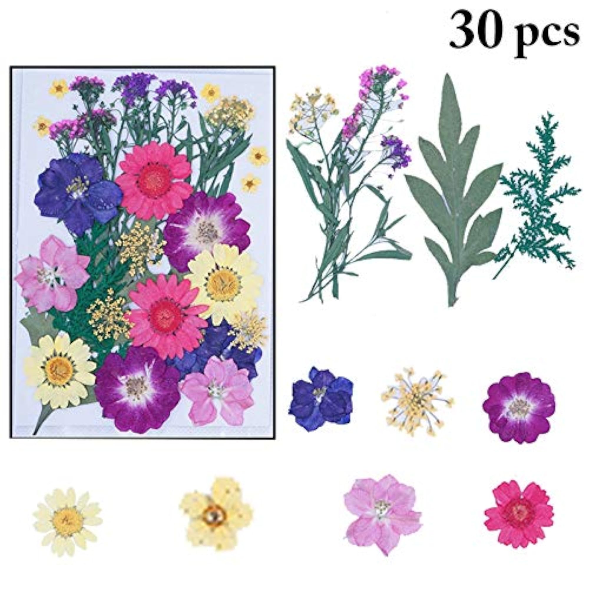 30PCS DIY Pressed Flowers Assorted for Crafts